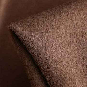 Last Chance of Ada Camello Coating