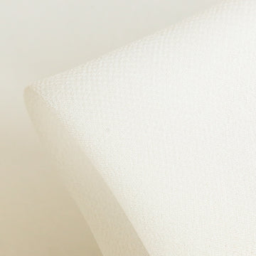 Natural Silk Georgette